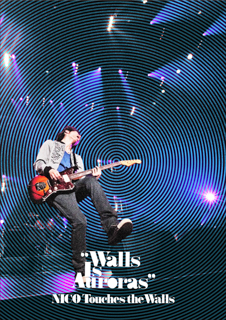 「Walls Is Auroras」2010.3.12 日本武道館